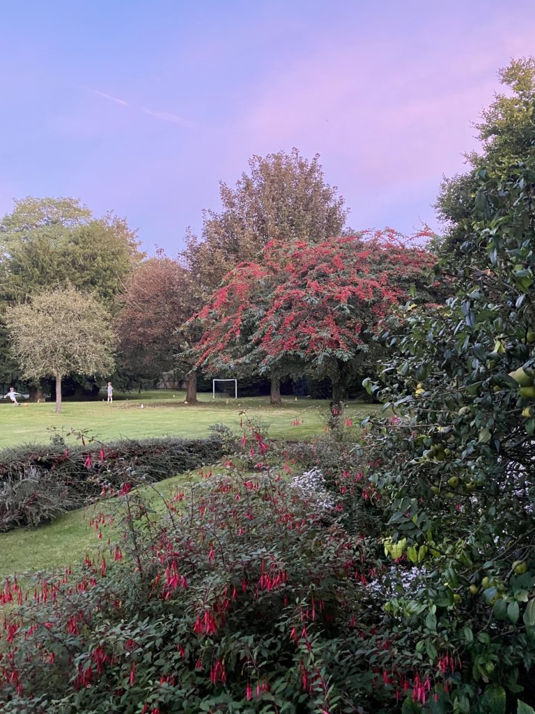 THE COACH HOUSE, SURREY, GU7 - SHOOTFACTORY - OTHER UK HOUSES