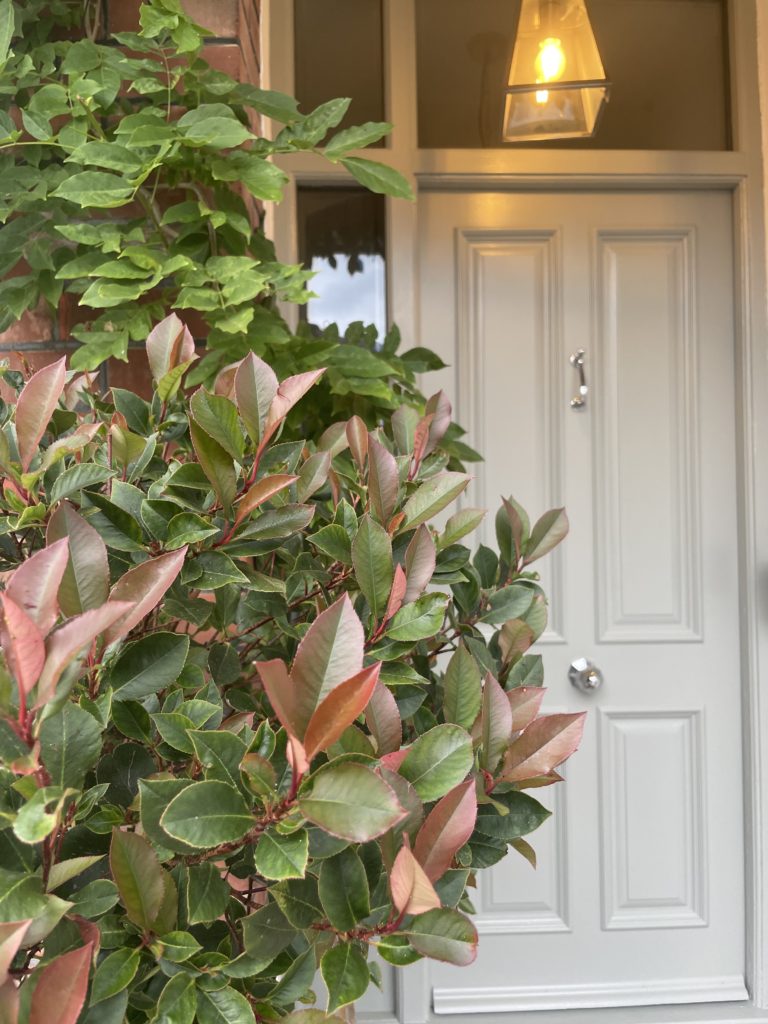 ROSEMARY, SURREY, KT12 - SHOOTFACTORY - OTHER UK HOUSES
