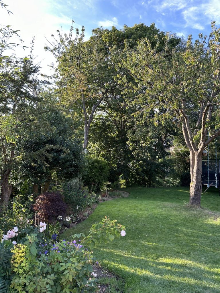 CRESCENT HOUSE, HASTINGS, TN34 - SHOOTFACTORY - OTHER UK HOUSES
