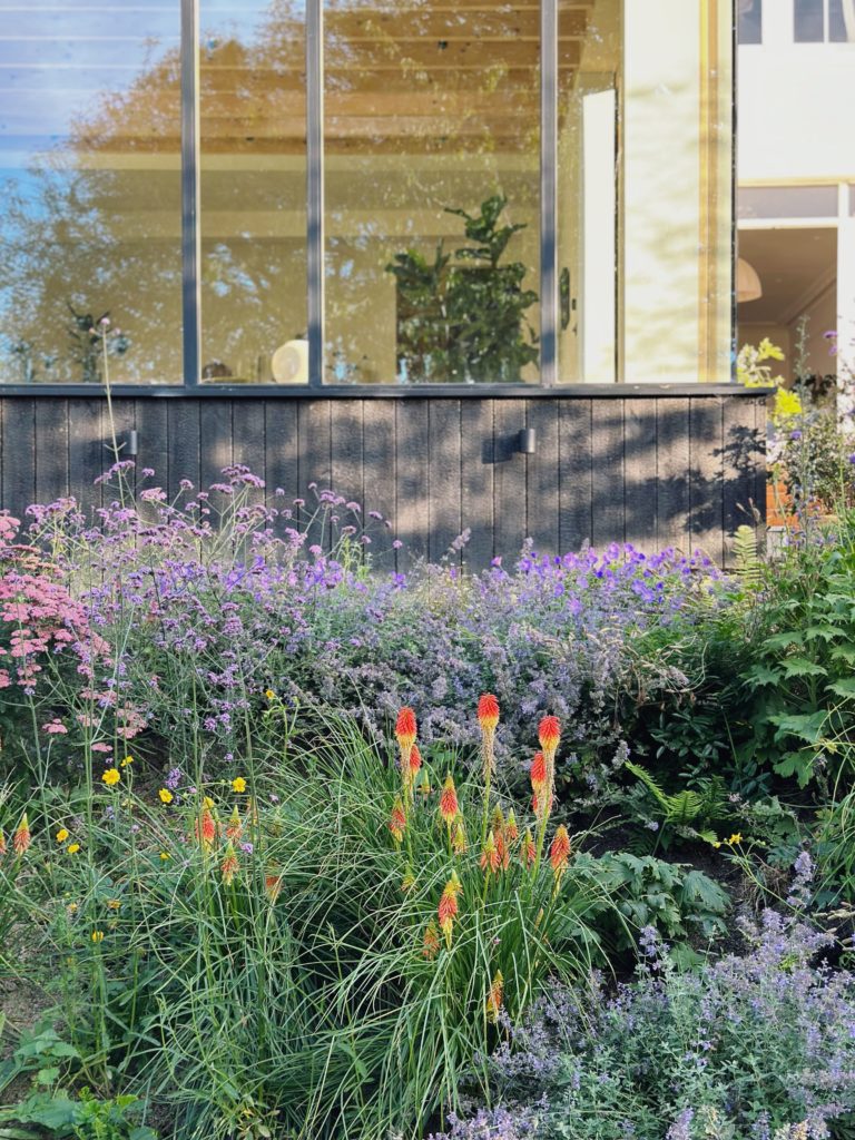 CRESCENT HOUSE, HASTINGS, TN34 - SHOOTFACTORY - OTHER UK HOUSES