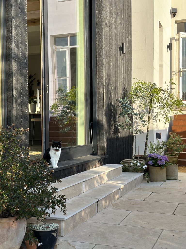 CRESCENT HOUSE, HASTINGS, TN34 - SHOOTFACTORY - OTHER UK HOUSES