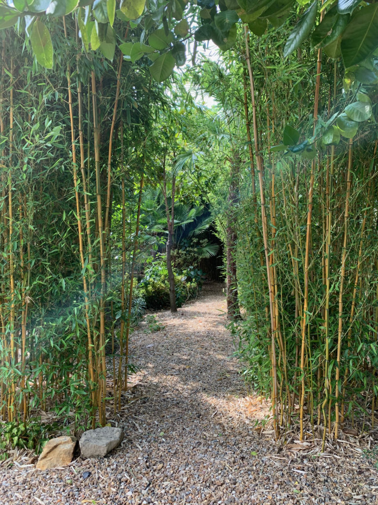 BAMBOO LONDON, SE26 - SHOOTFACTORY - QUIRKY & UNUSUAL LOCATIONS -0