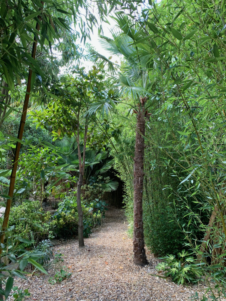BAMBOO LONDON, SE26 - SHOOTFACTORY - QUIRKY & UNUSUAL LOCATIONS -0