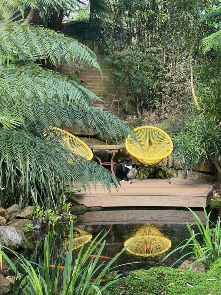 BAMBOO LONDON, SE26 - SHOOTFACTORY - QUIRKY & UNUSUAL LOCATIONS -0