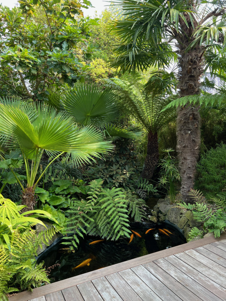 BAMBOO LONDON, SE26 - SHOOTFACTORY - QUIRKY & UNUSUAL LOCATIONS -0