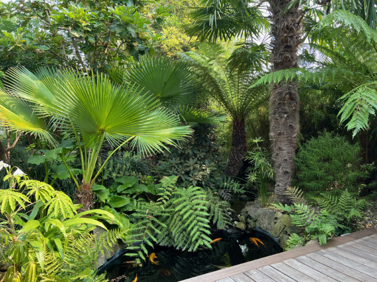 BAMBOO LONDON, SE26 - SHOOTFACTORY - QUIRKY & UNUSUAL LOCATIONS -0