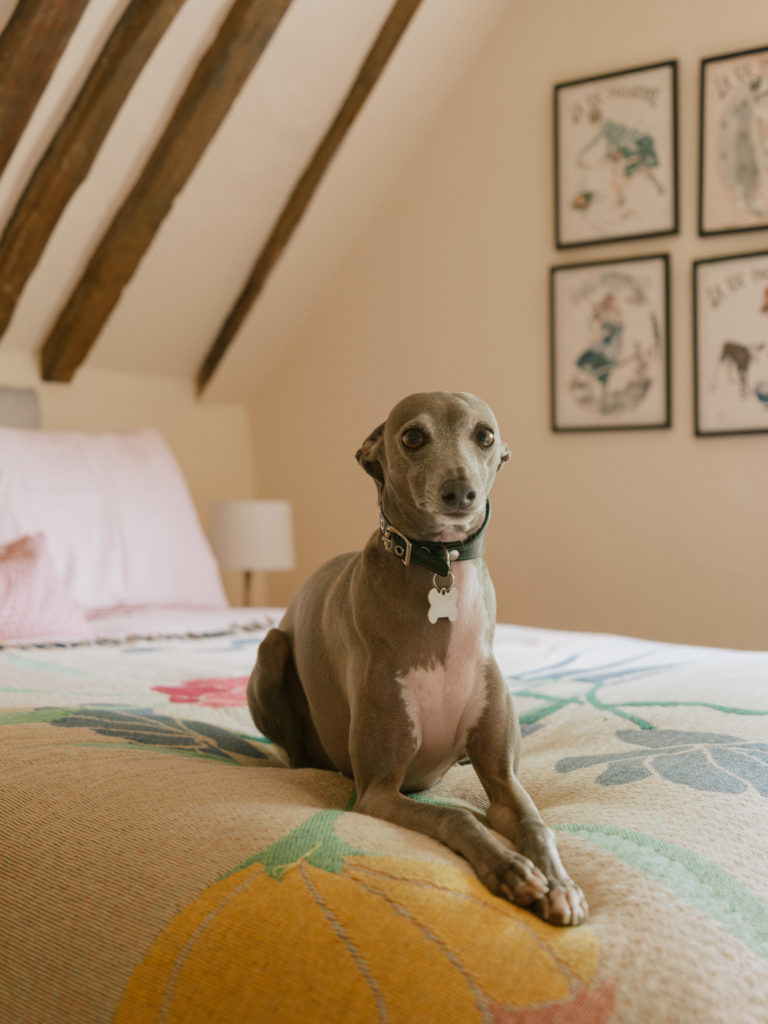 ELEYS COTTAGE, BUCKLAND - SN9 - SHOOTFACTORY - OTHER UK HOUSES