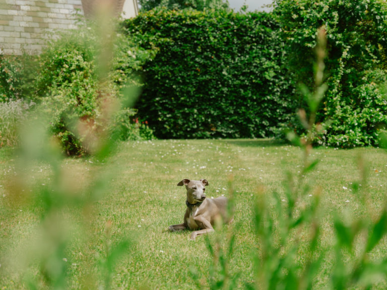 ELEYS COTTAGE, BUCKLAND - SN9 - SHOOTFACTORY - OTHER UK HOUSES
