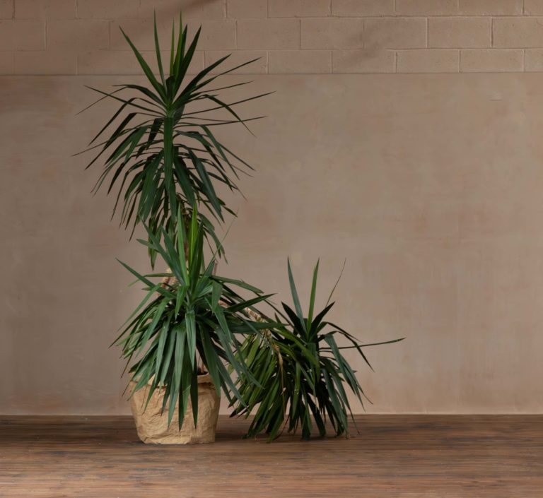 BELGRAVE, LEICESTER, LE4 - SHOOTFACTORY - PHOTOGRAPHIC STUDIOS