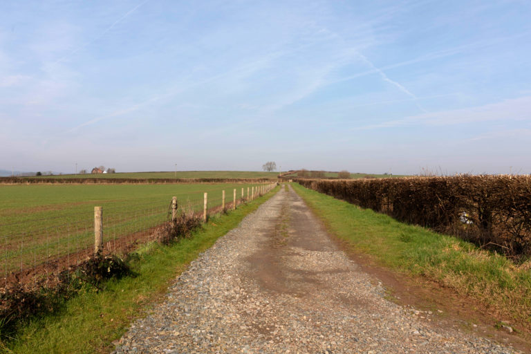 THE DIARY HEREFORDSHIRE, HR2 - SHOOTFACTORY - OTHER UK HOUSES