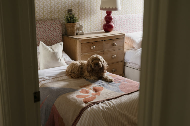 KP HOUSE, LONDON, SE22 - SHOOTFACTORY - LONDON HOUSES