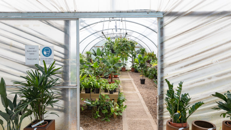 PALM LONDON, TW10 - SHOOTFACTORY - PHOTOGRAPHIC STUDIOS