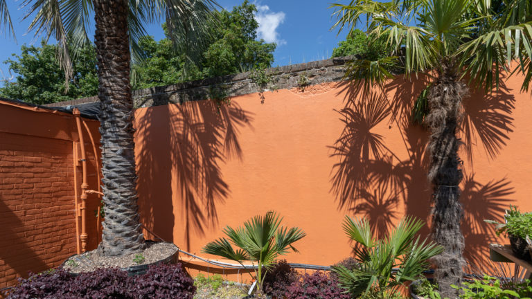 PALM LONDON, TW10 - SHOOTFACTORY - PHOTOGRAPHIC STUDIOS