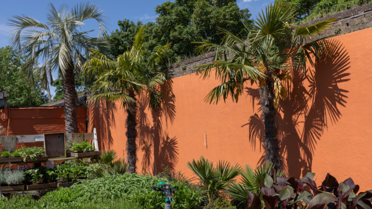 PALM LONDON, TW10 - SHOOTFACTORY - PHOTOGRAPHIC STUDIOS