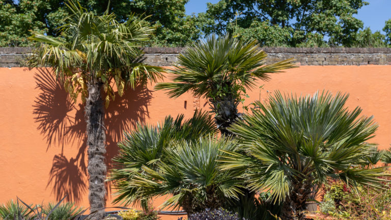 PALM LONDON, TW10 - SHOOTFACTORY - PHOTOGRAPHIC STUDIOS