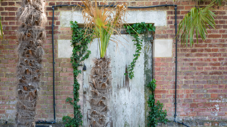 PALM LONDON, TW10 - SHOOTFACTORY - PHOTOGRAPHIC STUDIOS