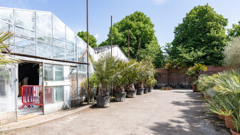 PALM LONDON, TW10 - SHOOTFACTORY - PHOTOGRAPHIC STUDIOS