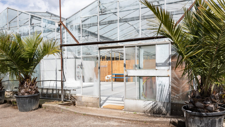 PALM LONDON, TW10 - SHOOTFACTORY - PHOTOGRAPHIC STUDIOS