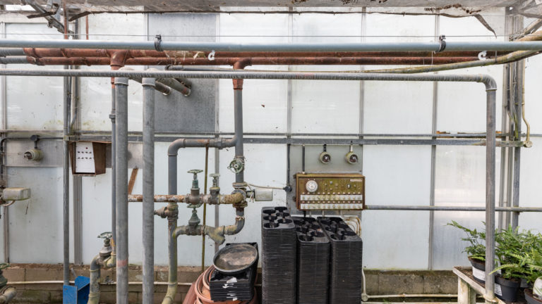 PALM LONDON, TW10 - SHOOTFACTORY - PHOTOGRAPHIC STUDIOS