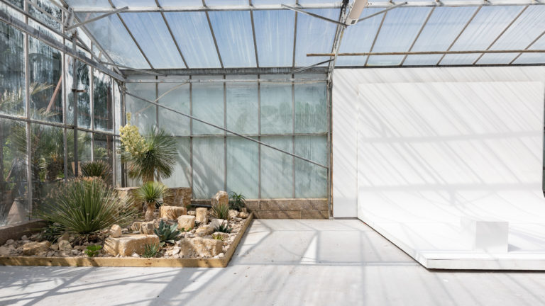 PALM LONDON, TW10 - SHOOTFACTORY - PHOTOGRAPHIC STUDIOS