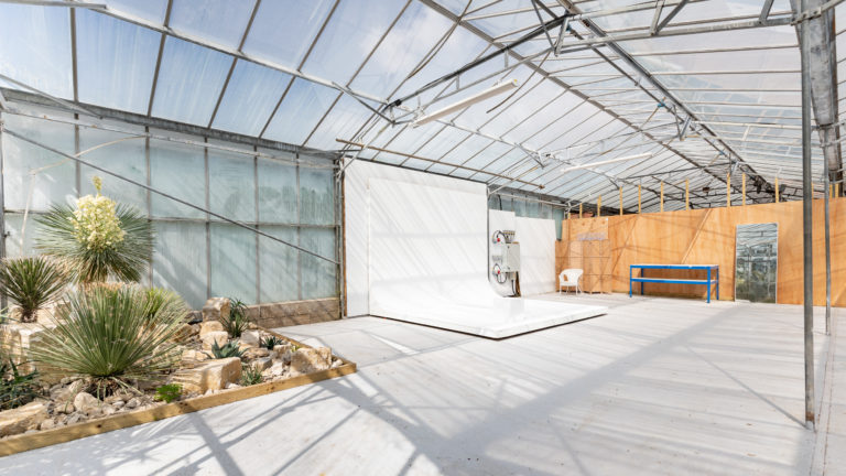 PALM LONDON, TW10 - SHOOTFACTORY - PHOTOGRAPHIC STUDIOS