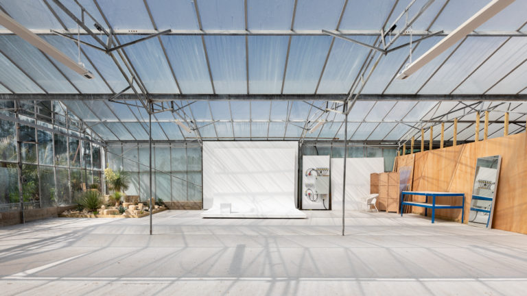 PALM LONDON, TW10 - SHOOTFACTORY - PHOTOGRAPHIC STUDIOS