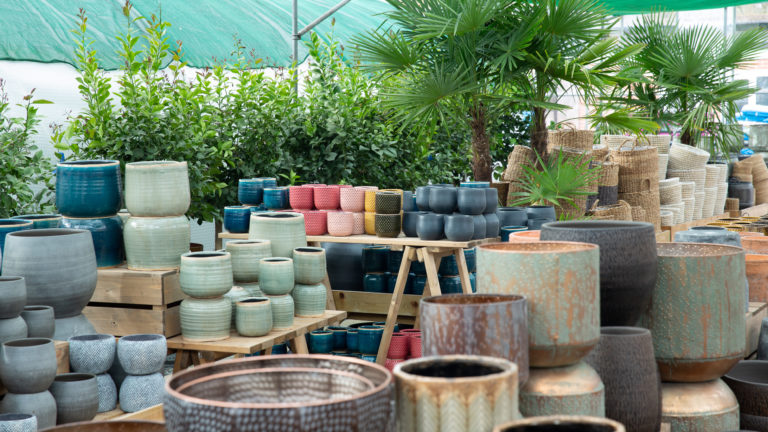 PALM LONDON, TW10 - SHOOTFACTORY - PHOTOGRAPHIC STUDIOS