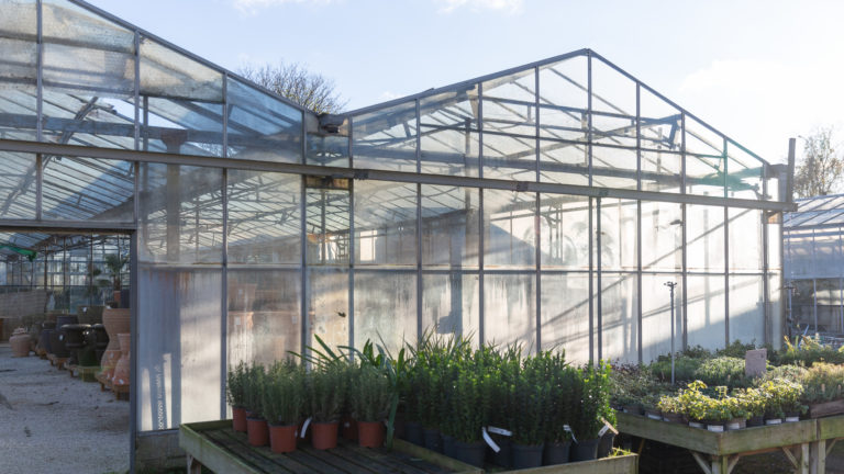 PALM LONDON, TW10 - SHOOTFACTORY - PHOTOGRAPHIC STUDIOS