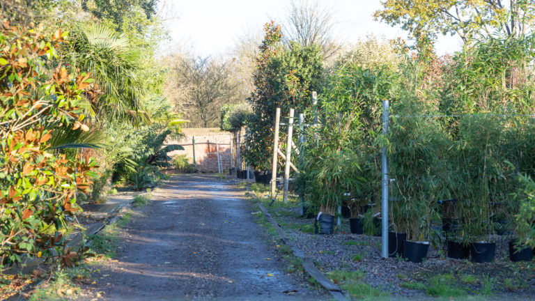 PALM LONDON, TW10 - SHOOTFACTORY - PHOTOGRAPHIC STUDIOS