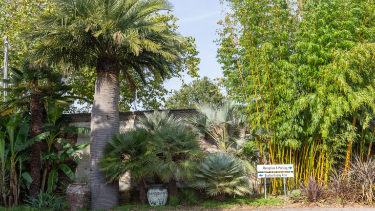 PALM LONDON, TW10 - SHOOTFACTORY - PHOTOGRAPHIC STUDIOS