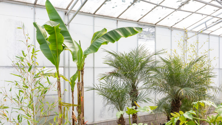 PALM LONDON, TW10 - SHOOTFACTORY - PHOTOGRAPHIC STUDIOS