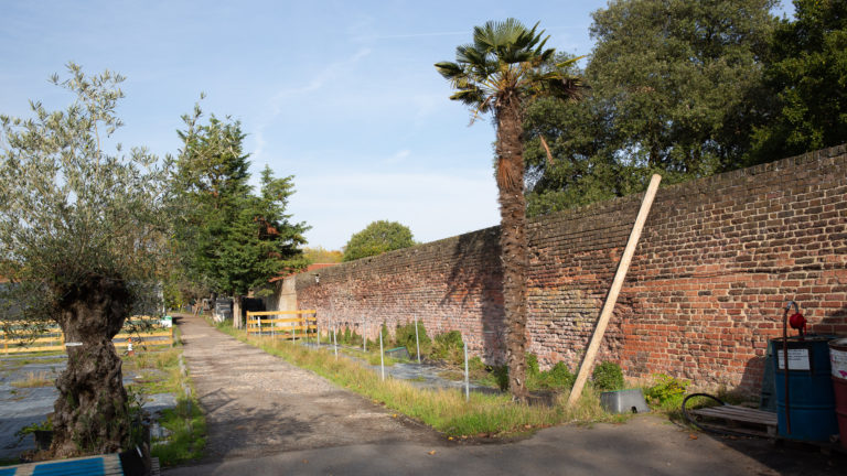 PALM LONDON, TW10 - SHOOTFACTORY - PHOTOGRAPHIC STUDIOS