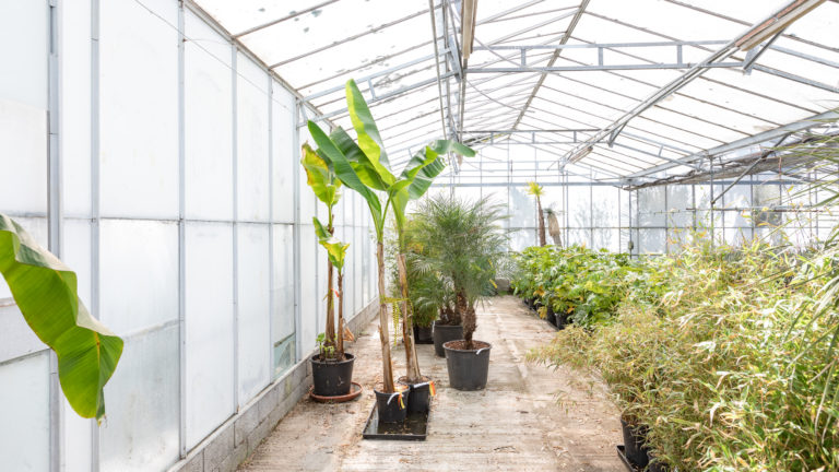PALM LONDON, TW10 - SHOOTFACTORY - PHOTOGRAPHIC STUDIOS