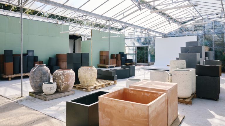 PALM LONDON, TW10 - SHOOTFACTORY - PHOTOGRAPHIC STUDIOS