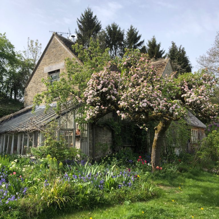 SPRING COTTAGE STROUD, GL6 - SHOOTFACTORY - OTHER UK HOUSES