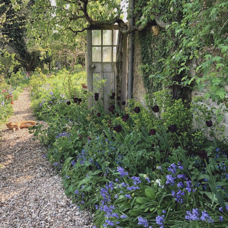 SPRING COTTAGE STROUD, GL6 - SHOOTFACTORY - OTHER UK HOUSES