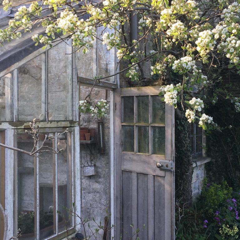 SPRING COTTAGE STROUD, GL6 - SHOOTFACTORY - OTHER UK HOUSES
