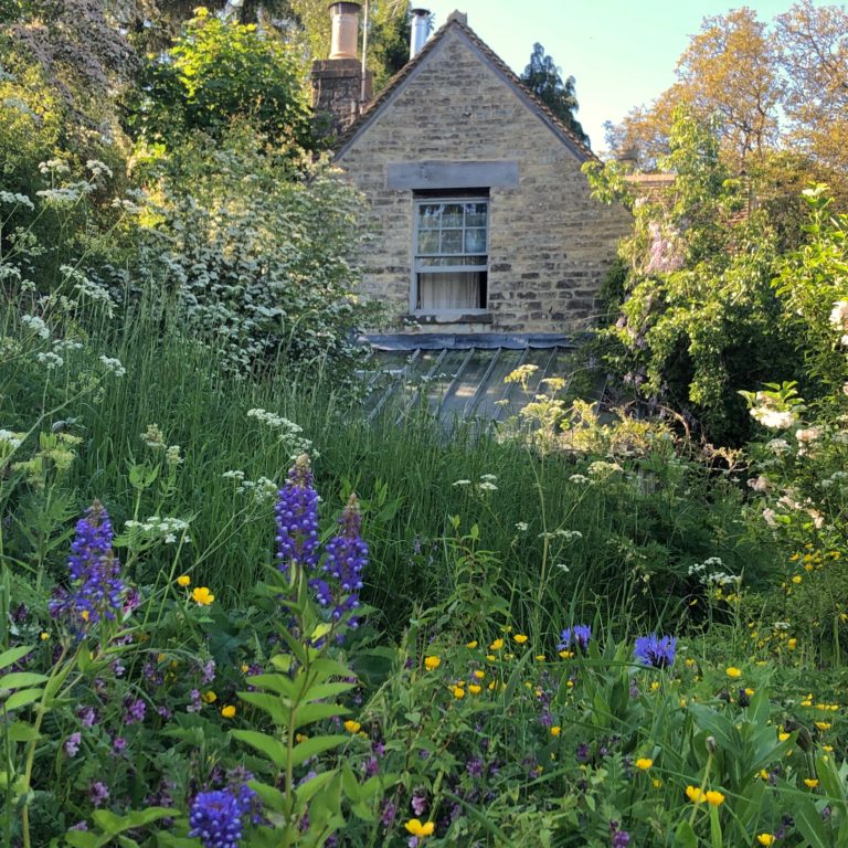 SPRING COTTAGE STROUD, GL6 - SHOOTFACTORY - OTHER UK HOUSES