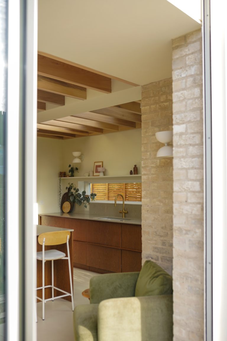 LAKEHOUSE LONDON, E11 - SHOOTFACTORY - LONDON HOUSES