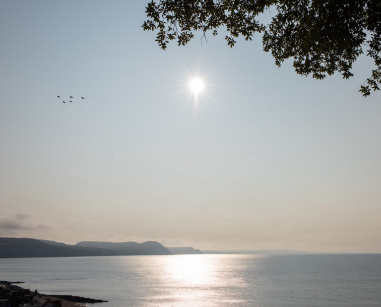 LYME REGIS DOREST, DT7 - SHOOTFACTORY - OTHER UK HOUSES