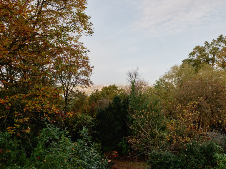 WOODSYRE LONDON, SE26 - SHOOTFACTORY - LONDON HOUSES