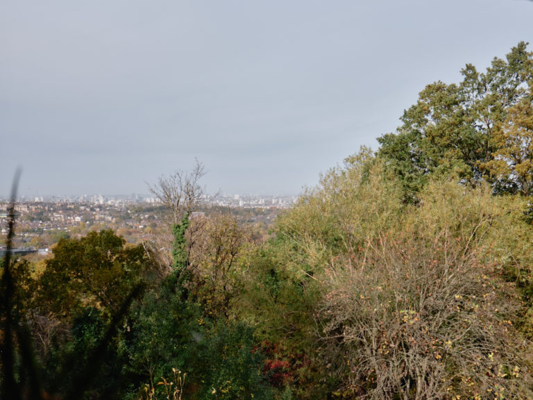 WOODSYRE LONDON, SE26 - SHOOTFACTORY - LONDON HOUSES