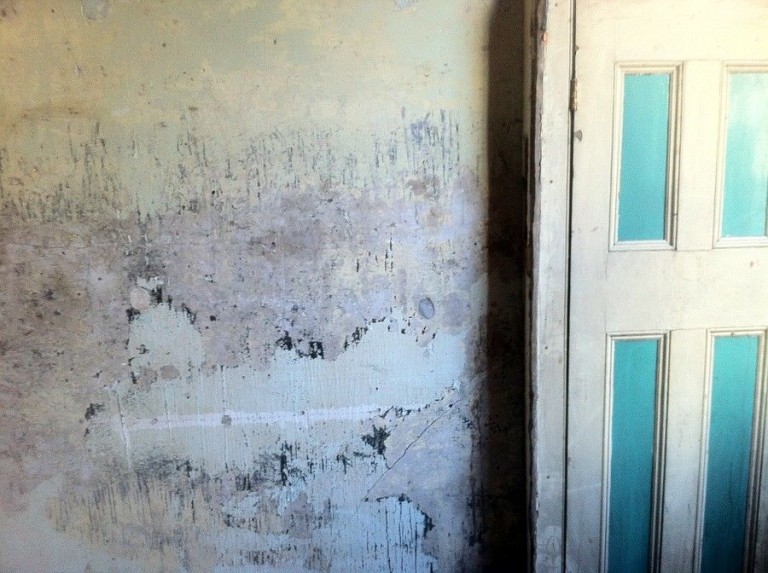 Stripped walls with blue wooden panels / Blackheath, London, Se13 / Shootfactory Location